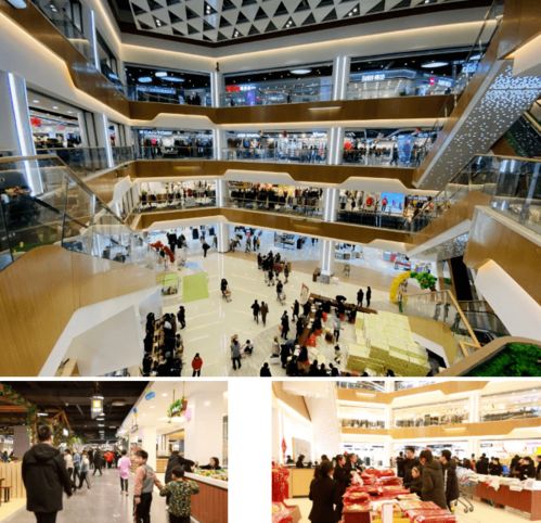 榮耀啟航 慶云開啟商貿(mào)集群發(fā)展新時代