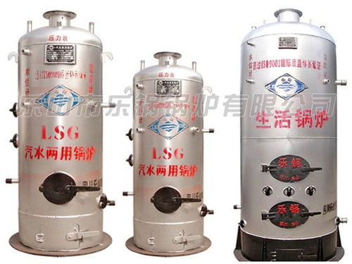 樂(lè)鍋鍋爐汽水兩用鍋爐制造廠(chǎng)