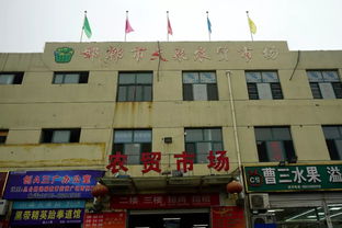 江門區(qū)政府主要領導冒雨調研檢查全區(qū)商貿企業(yè)“雙節(jié)”供應及安全生產工作